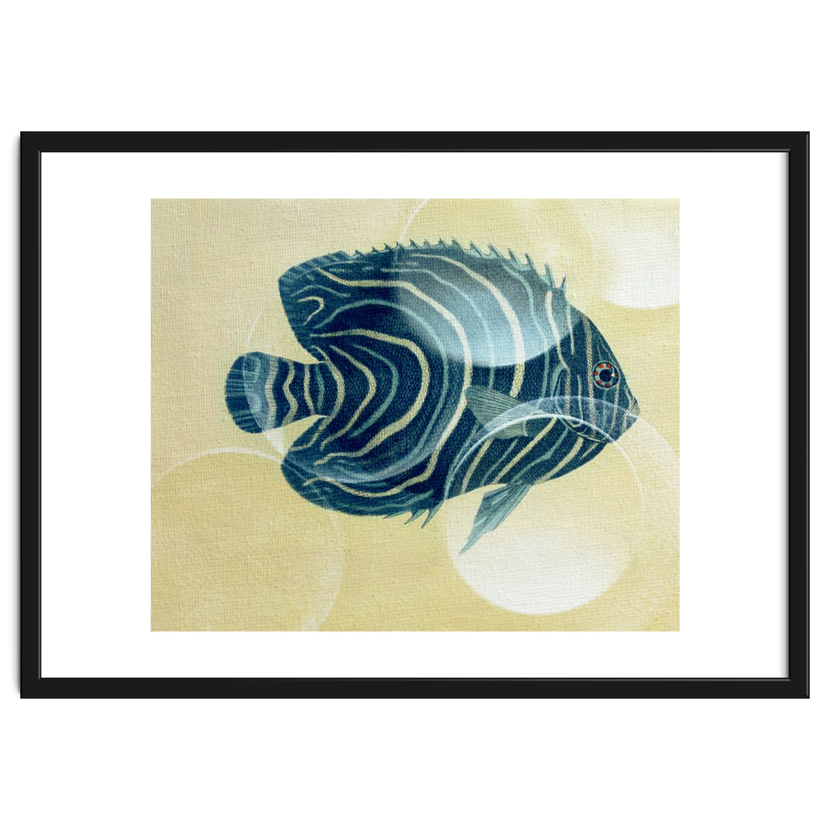 Fish Between Circles