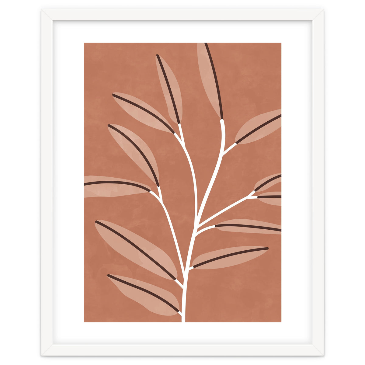 Mid Century Modern Plant