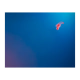 Absolute Zero (Print Only) thumbnail