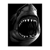Great Shark White (Print Only) thumbnail