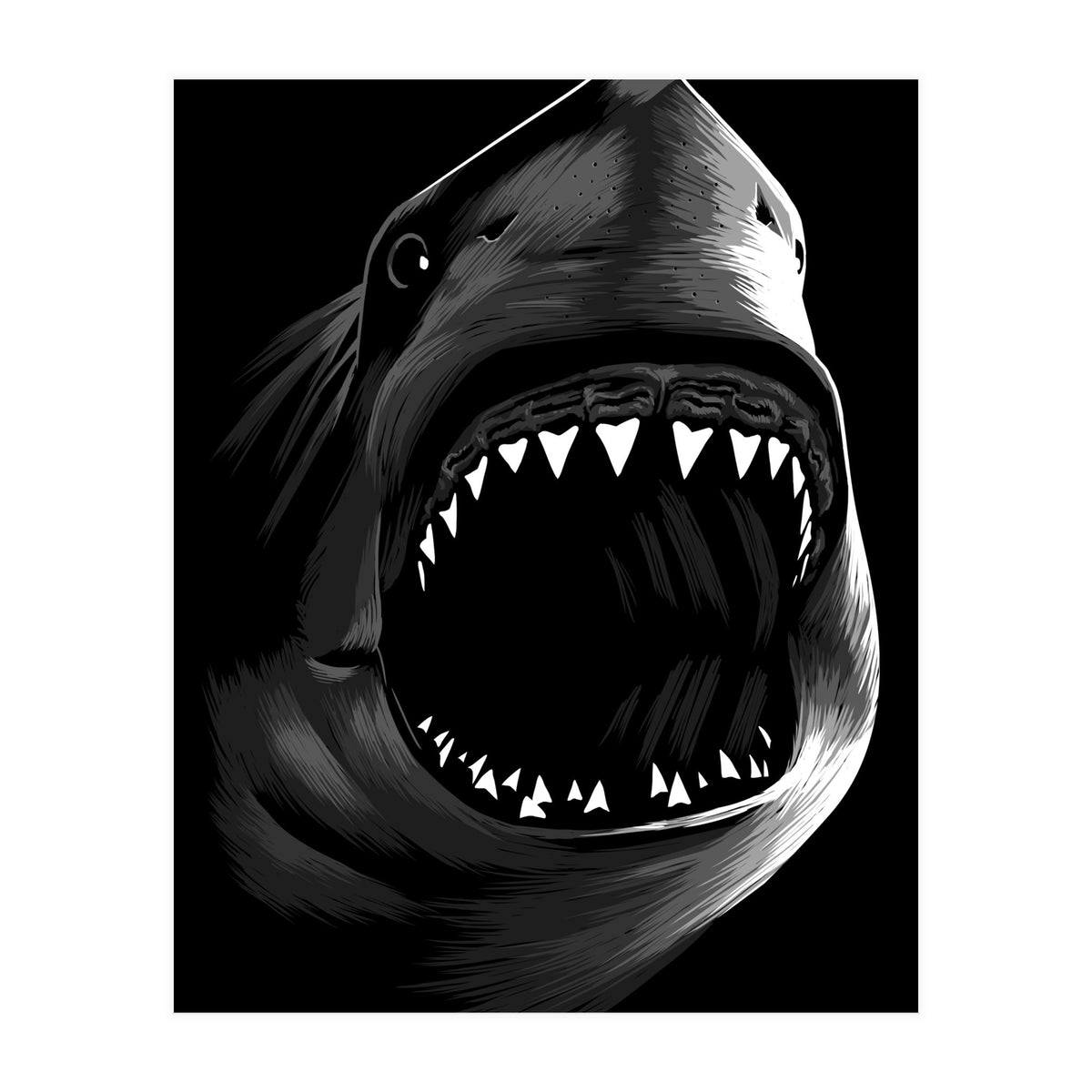 Great Shark White (Print Only)