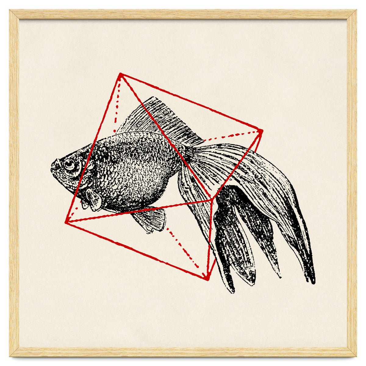 Fish In Geometrics III (Square)
