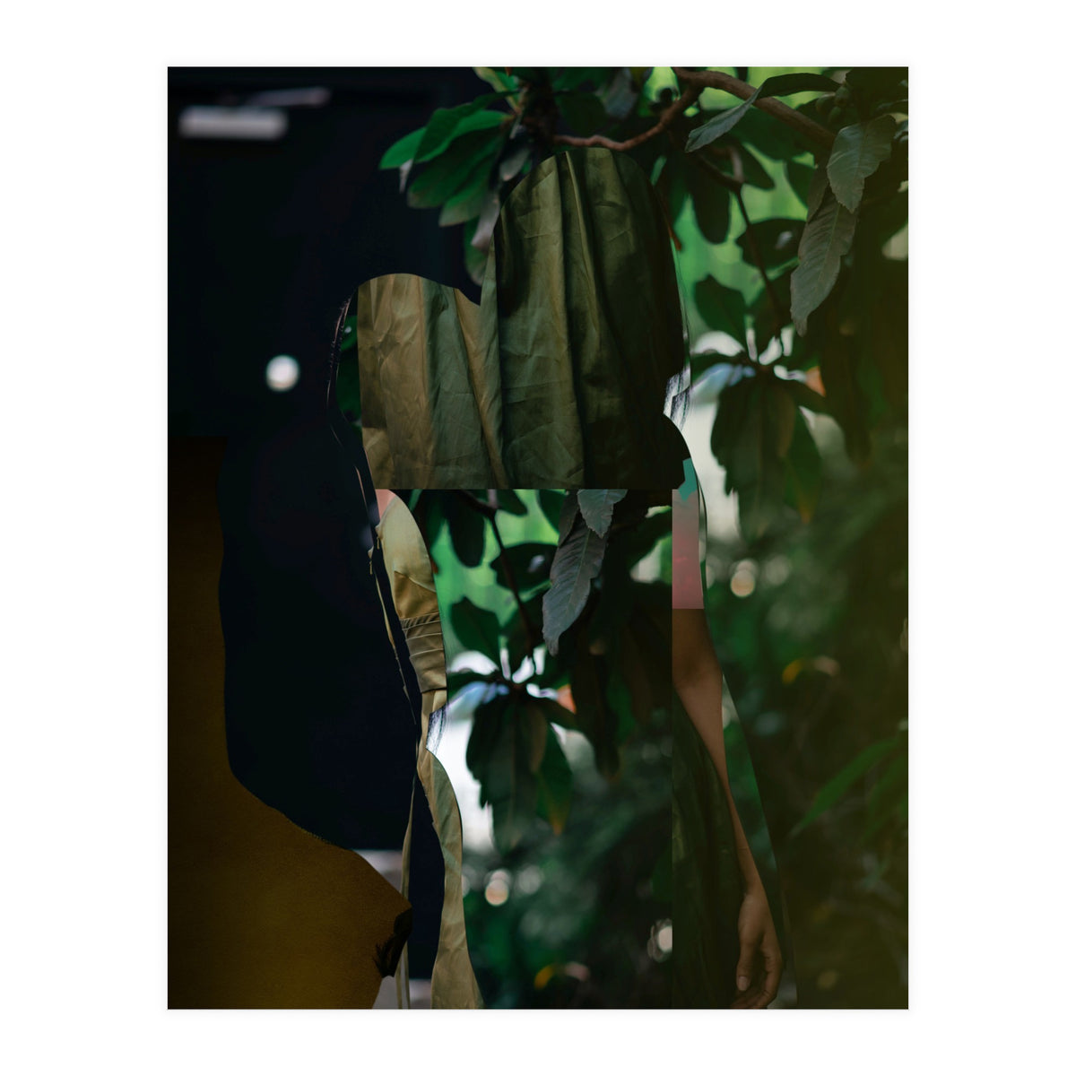 Disappeared Dreams 5 (Print Only)