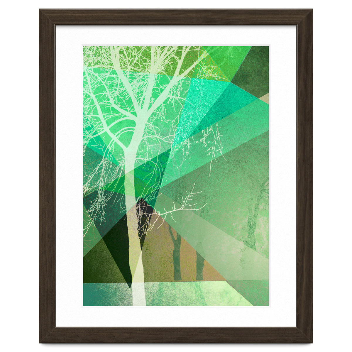 P22 B Trees And Triangles