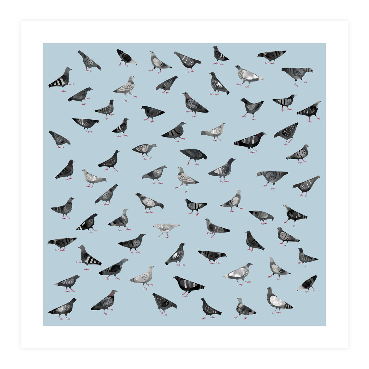 Pigeons Doing Pigeon Things (Print Only)