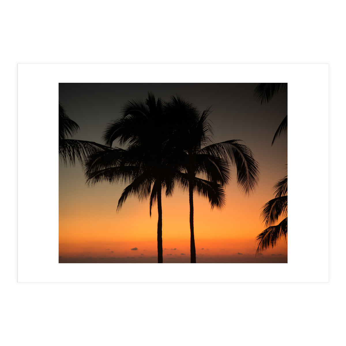 Mexico, November nights (Print Only)