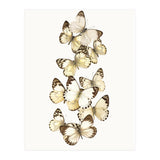 Cc Butterflies 01 (Print Only) thumbnail
