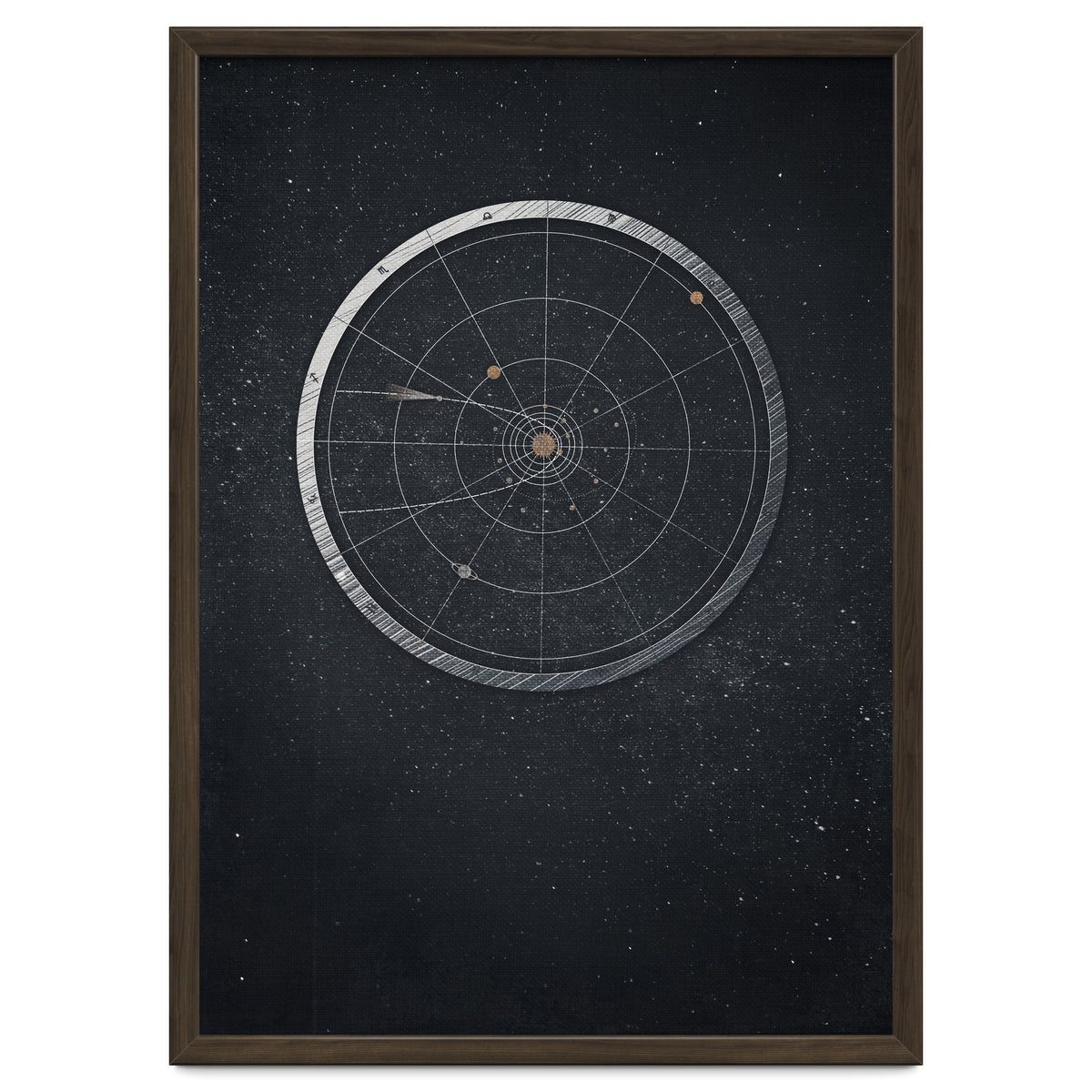 Vintage Cosmos: Hayley's comet