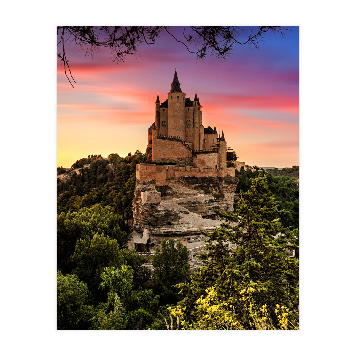 Daydream (Print Only)