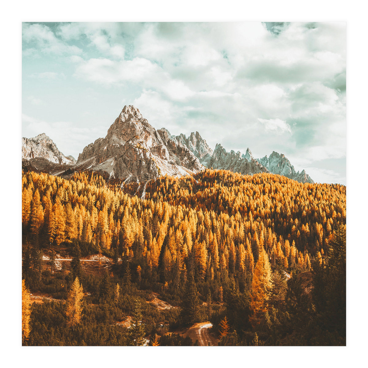 Let's Get Lost (Print Only)