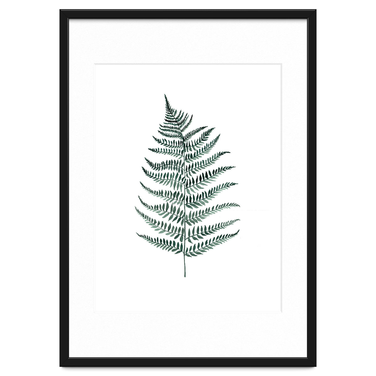 Botanical Illustration Silverfern