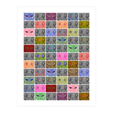 Faces of an owl (Print Only) thumbnail