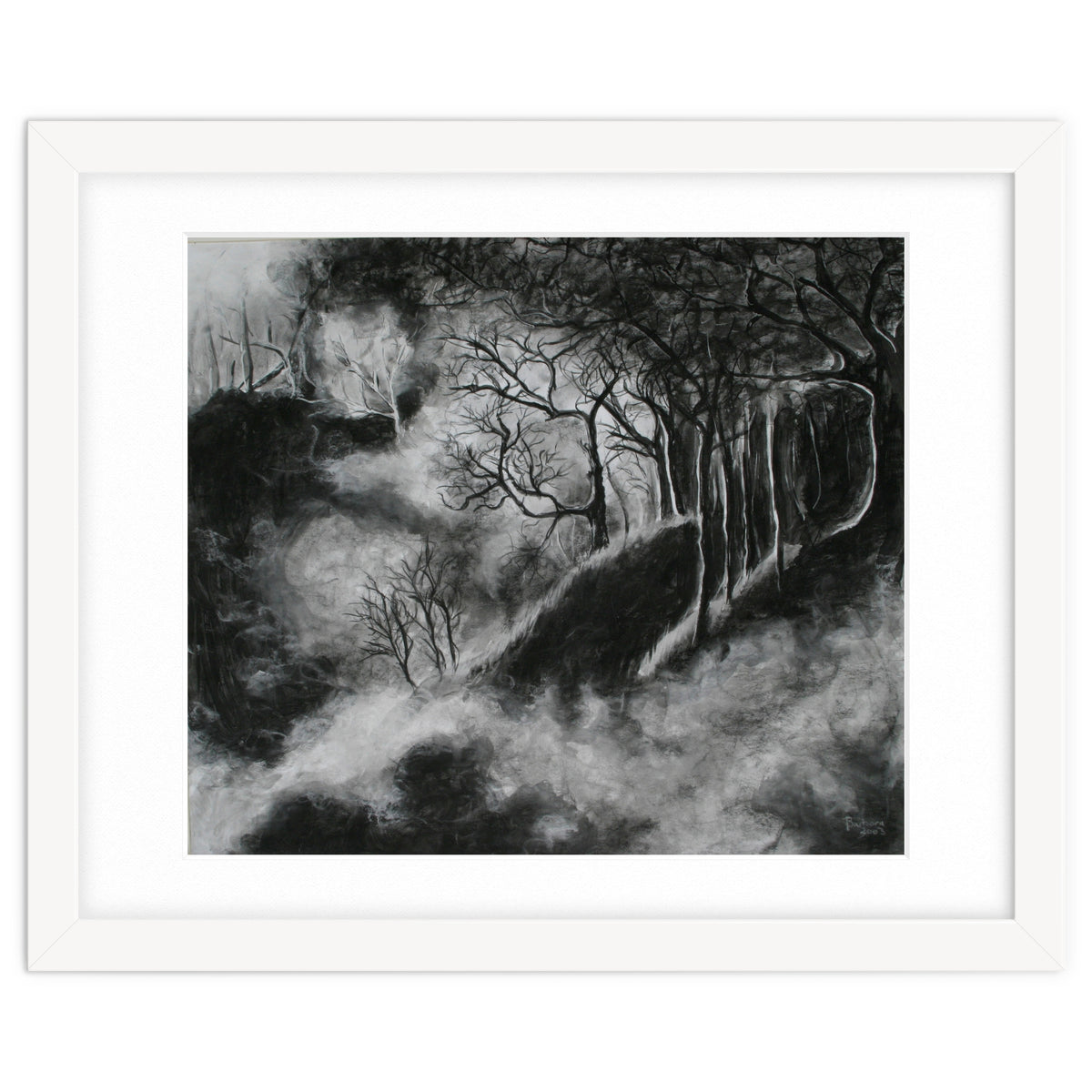 Black and White Forest in Clouds