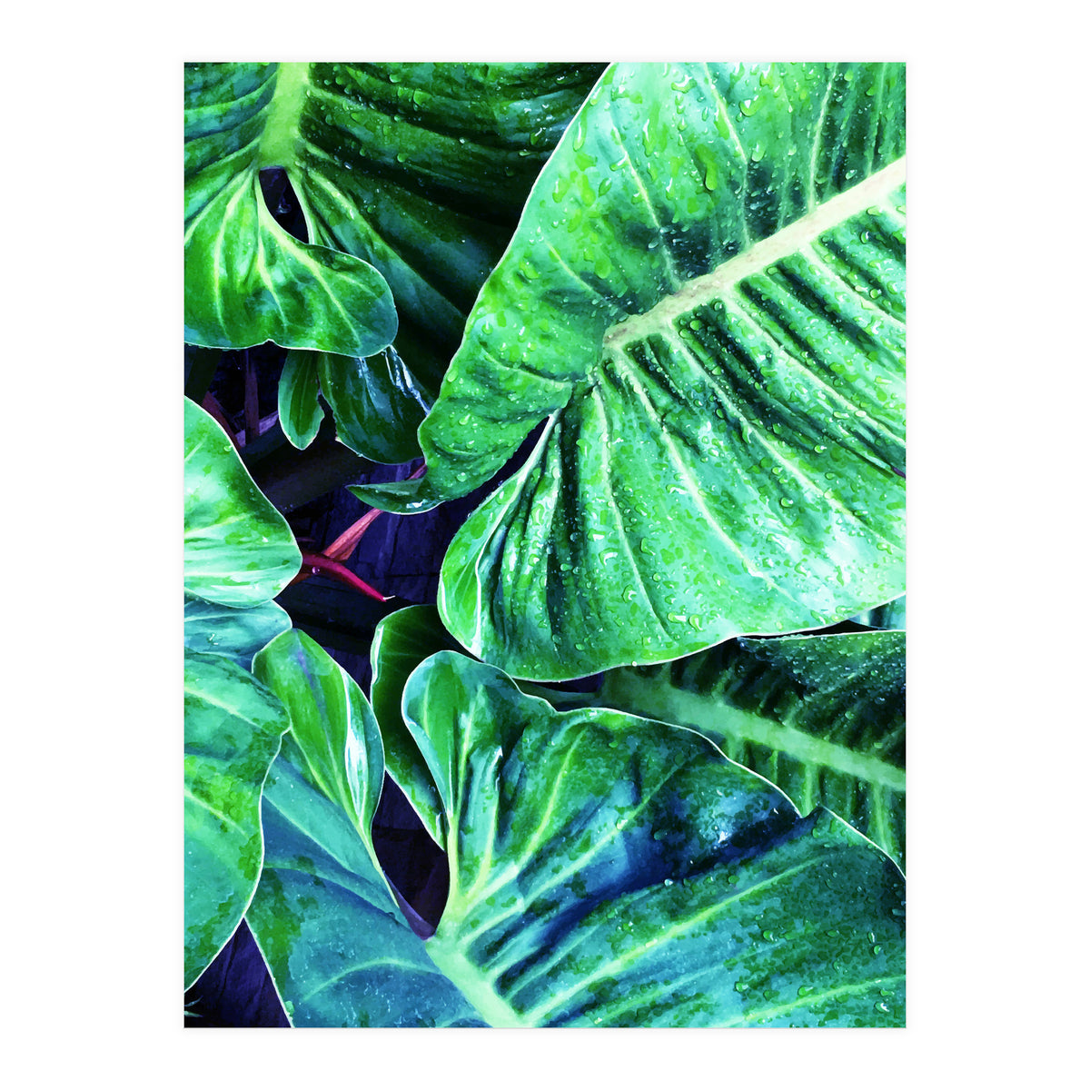 Another Botanical (Print Only)