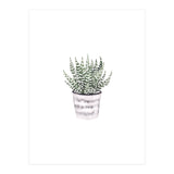 Potted Plant (Print Only) thumbnail