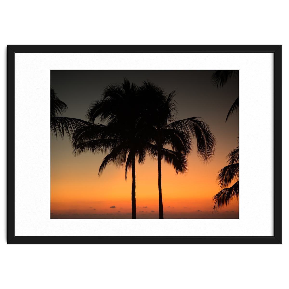 Mexico, November nights