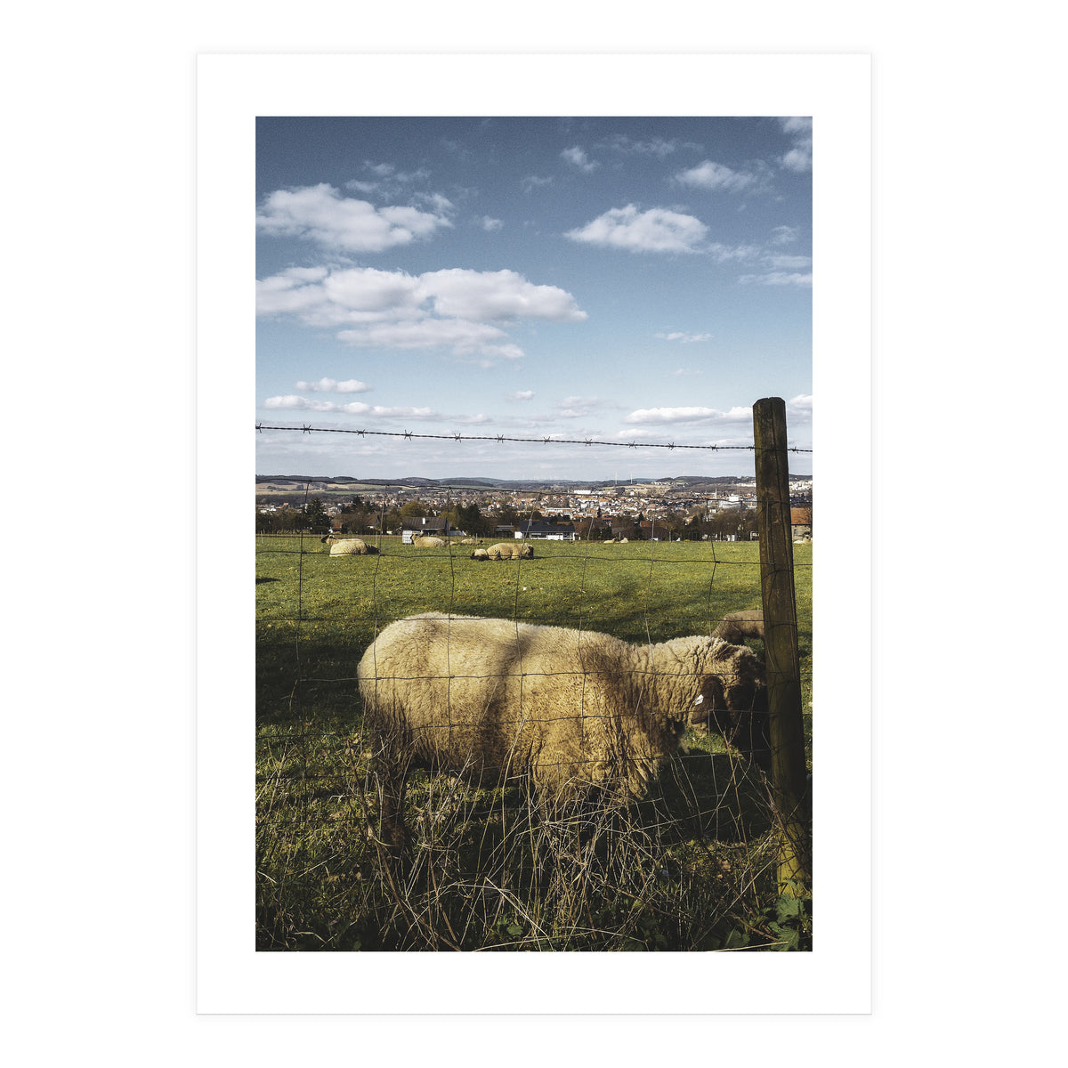 Bucolism 5 (Print Only)