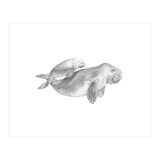 Dugongs no. 1 (Print Only) thumbnail