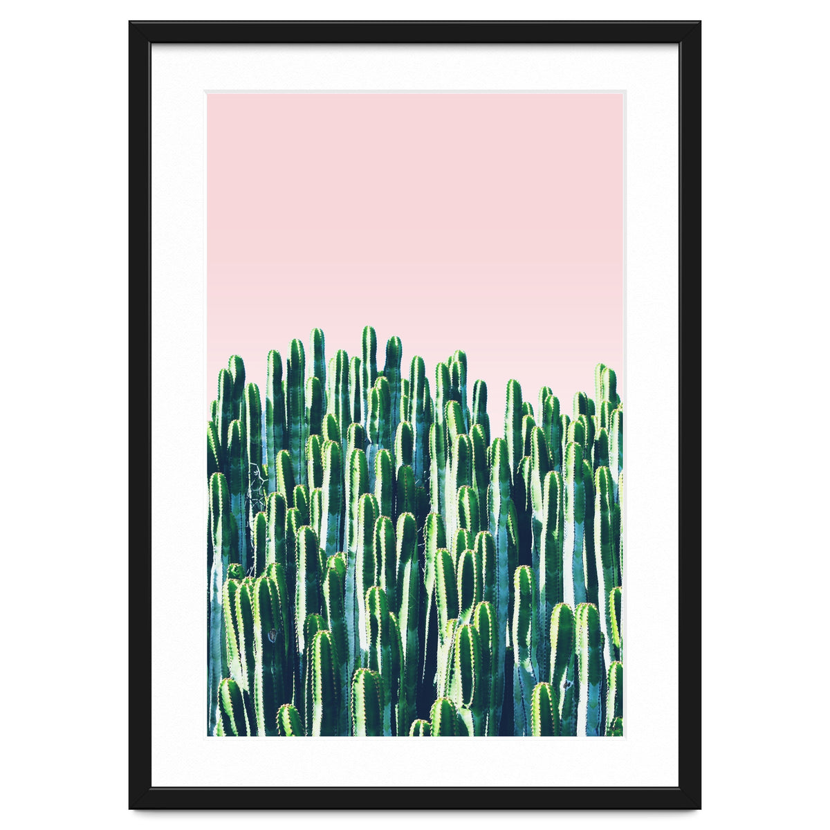 Cactus & Sunset II