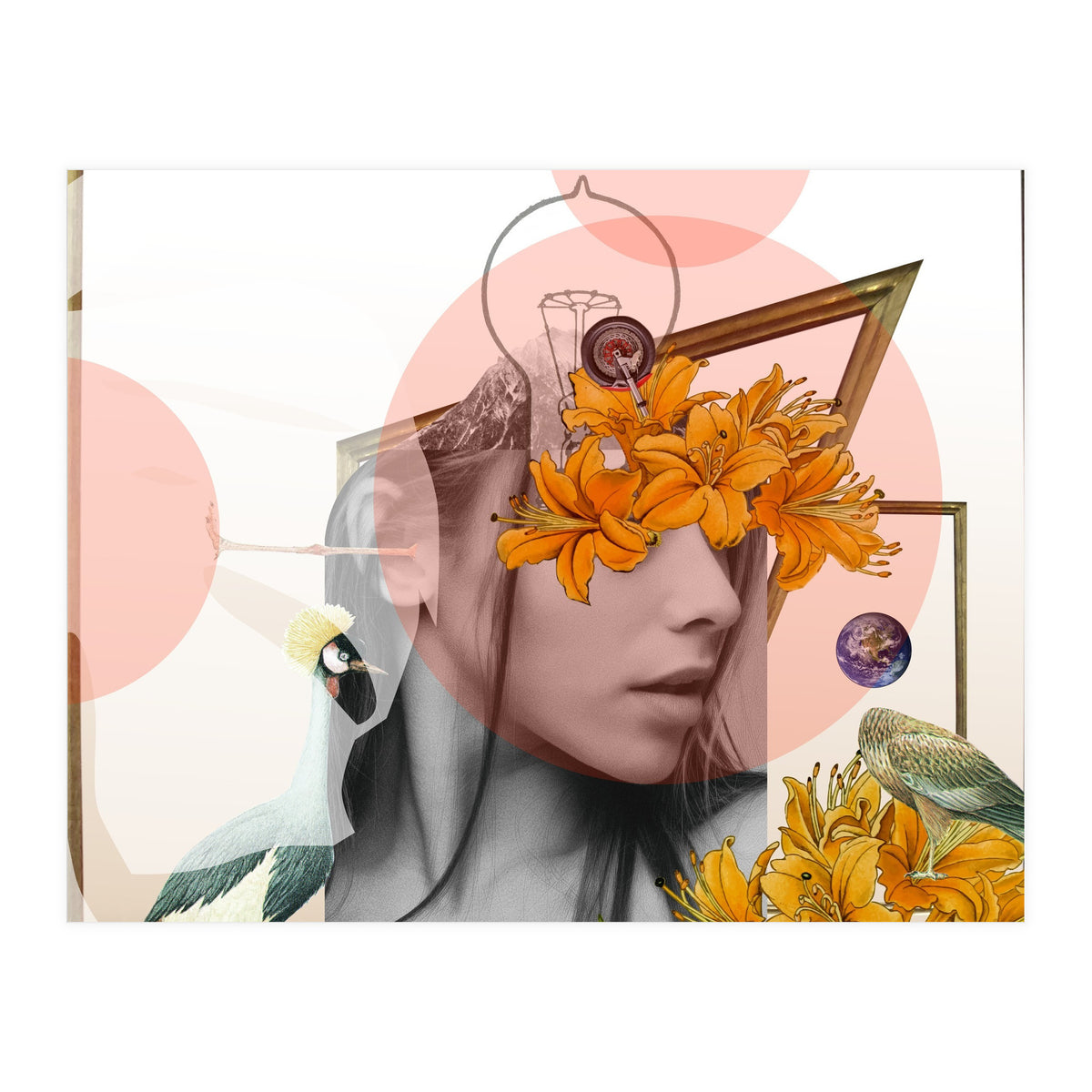 Dreamland Division · D (Print Only)