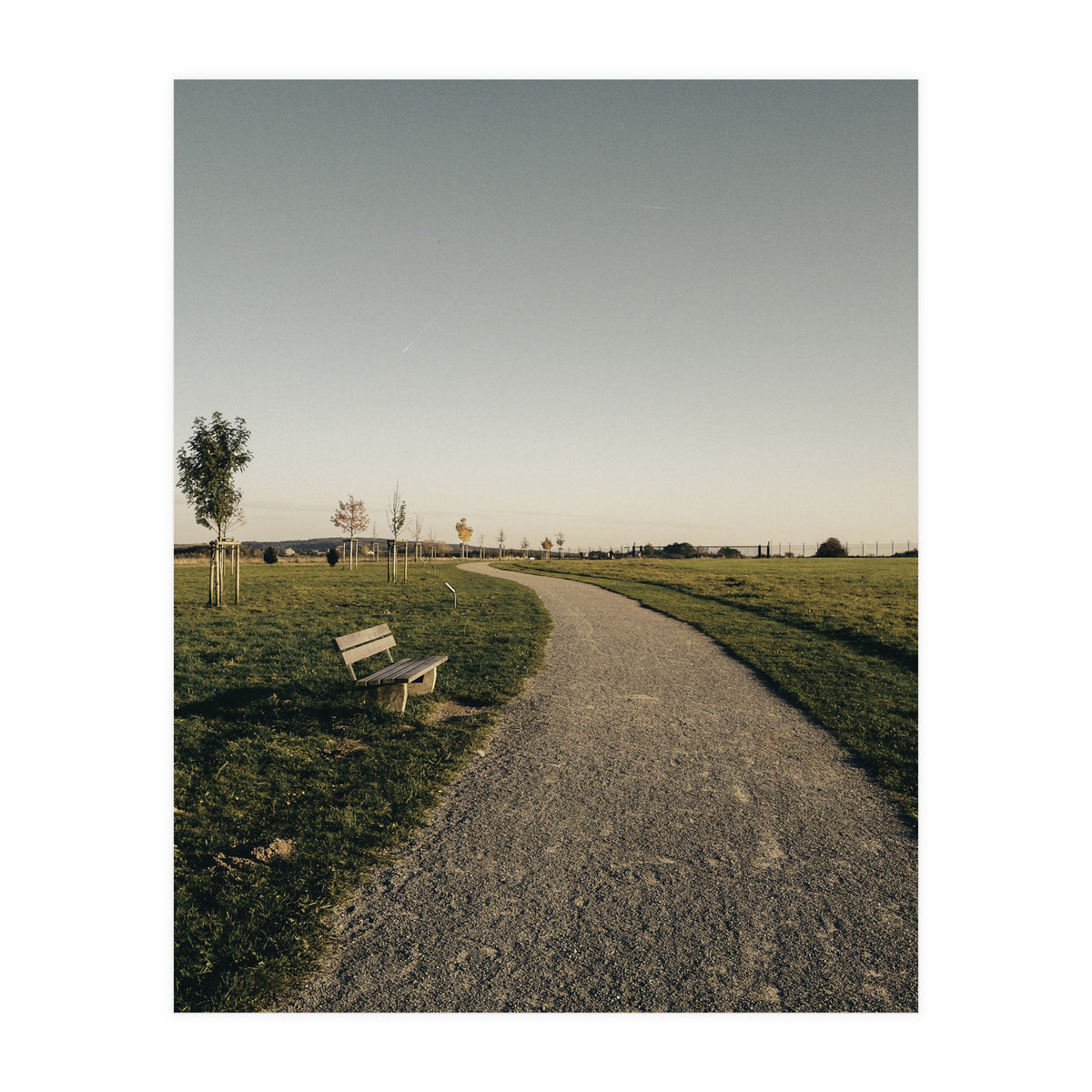 Bucolism 7 (Print Only)