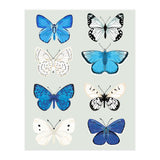 Lepidoptery Study No. 3 (Print Only) thumbnail