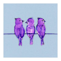 Three purple birds (Print Only)