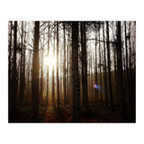 D3 A0 Cf3 E 6509 400 C 926 D 905230 D93 F61 (Print Only) thumbnail