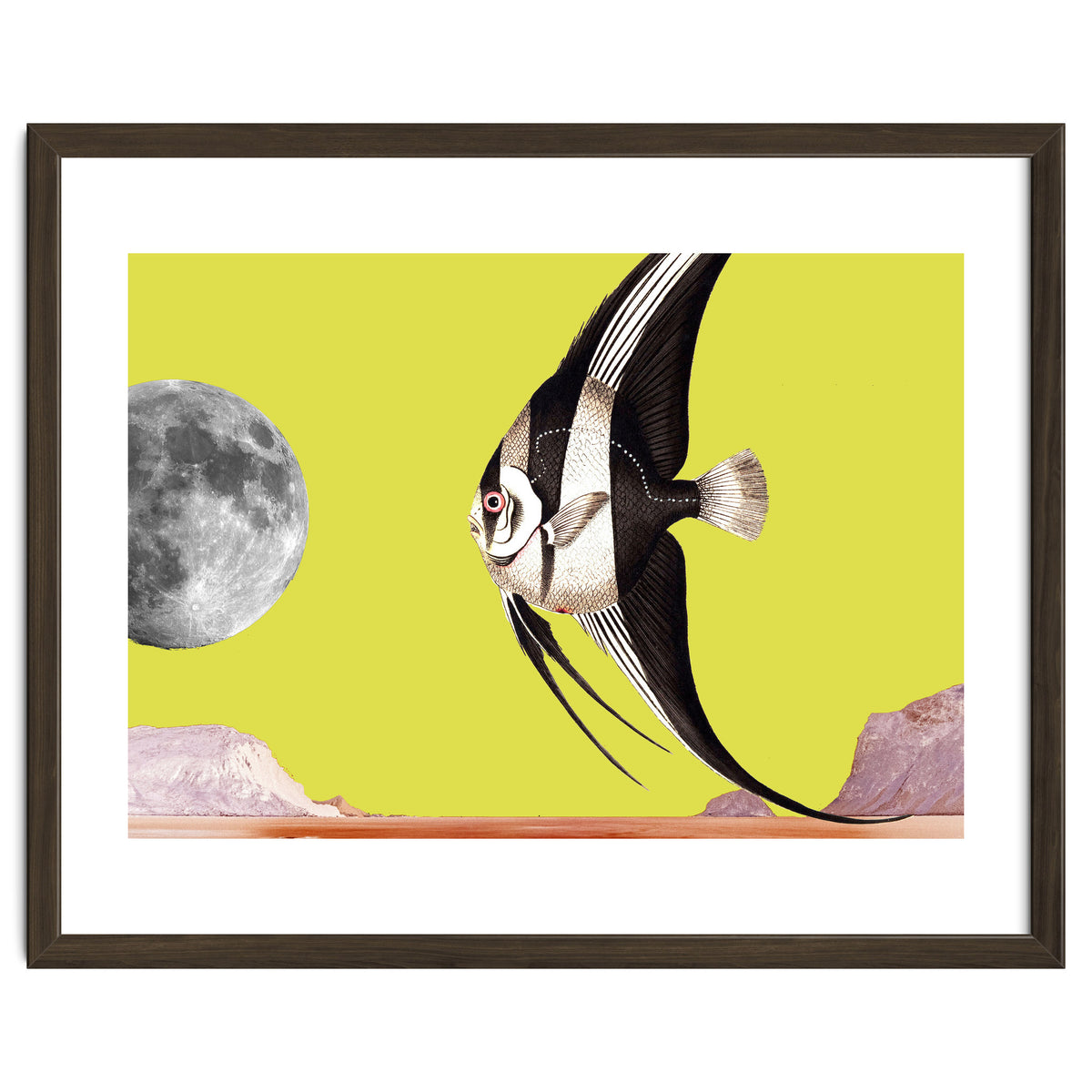 Plenty of fish in the sea yellow