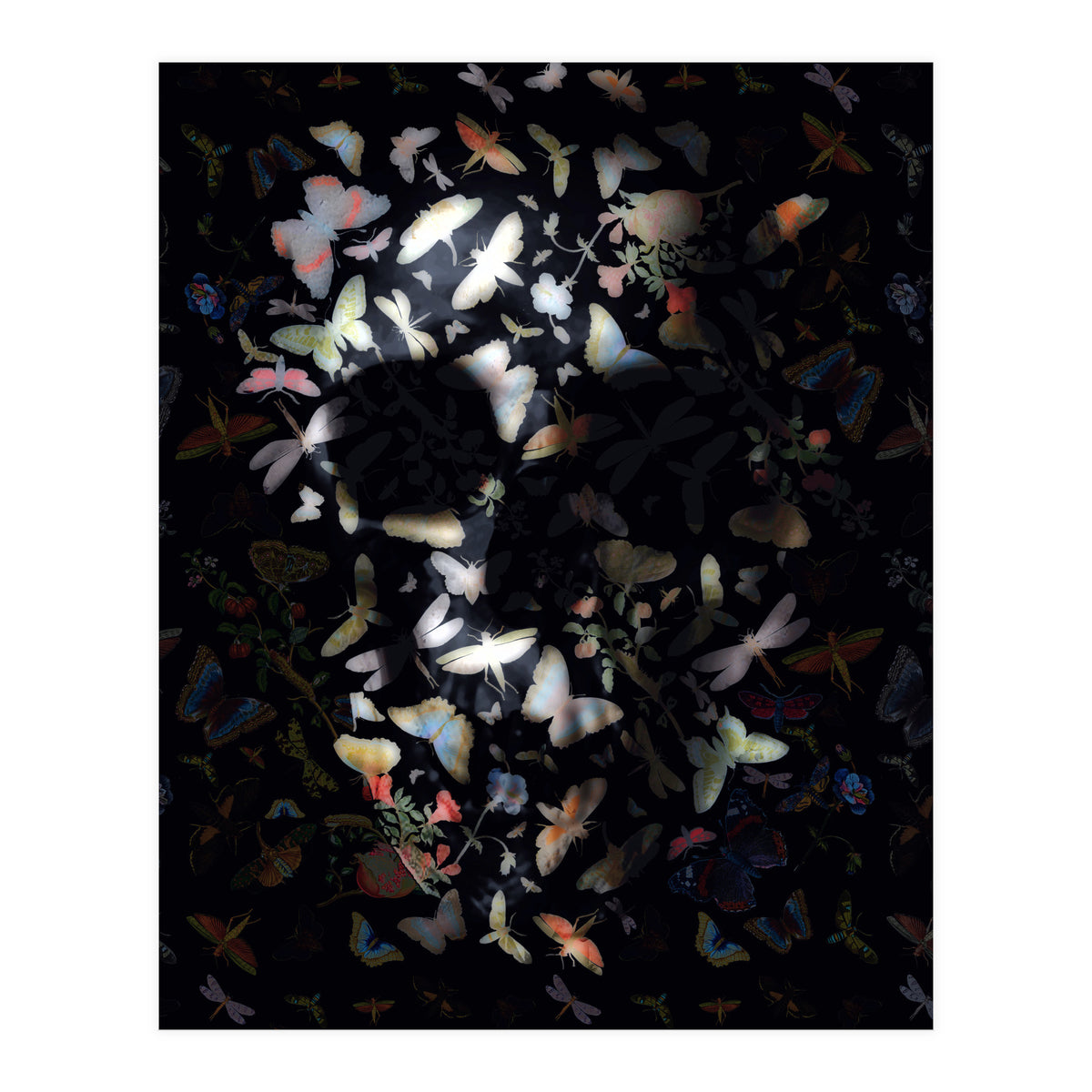 Butterfly Skull (Print Only)