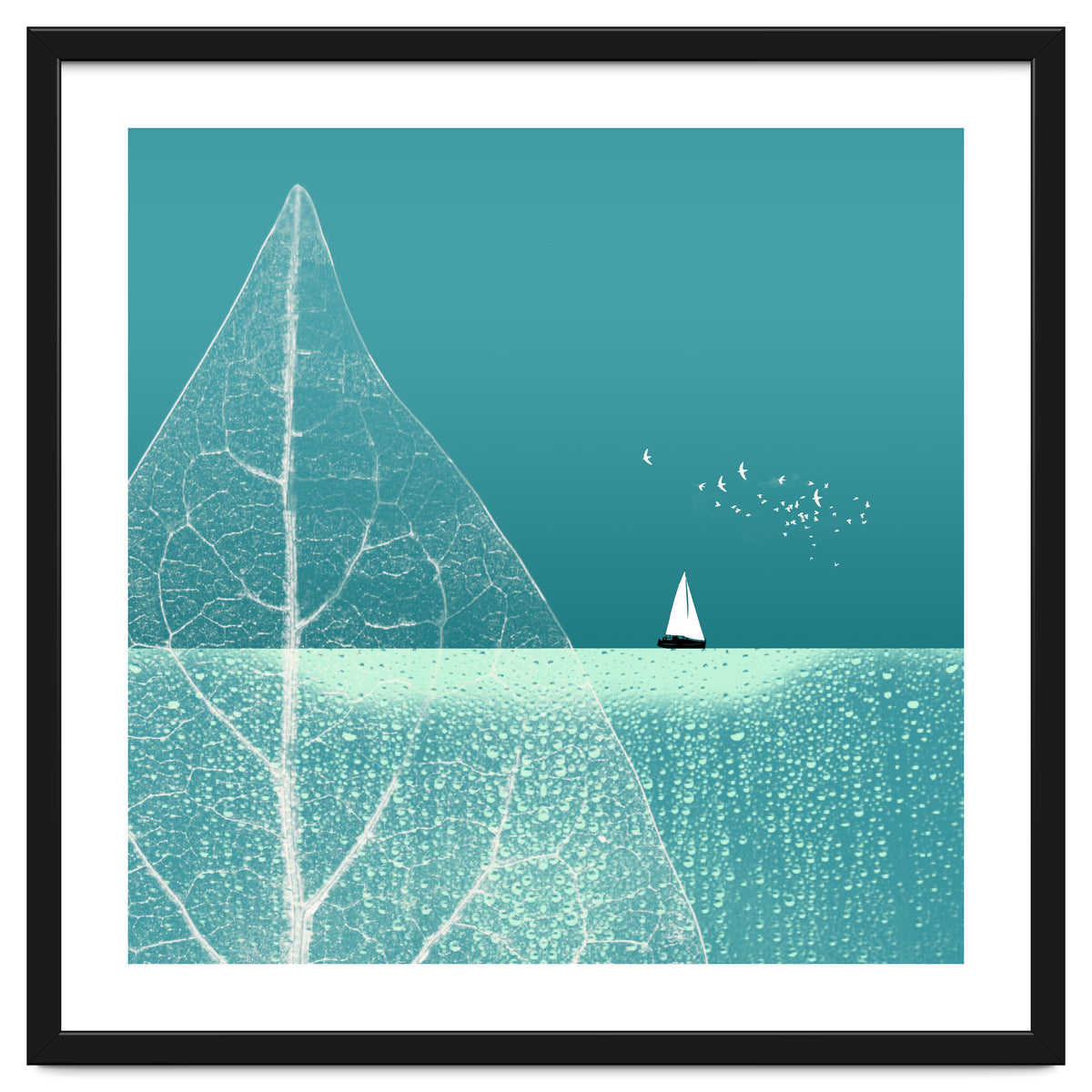 Ocean Wonderland Ii-B