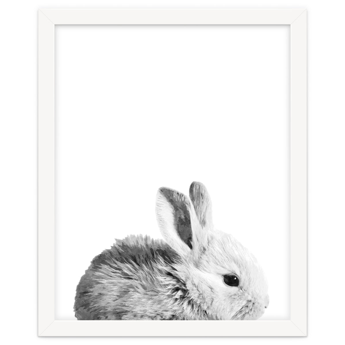 Black and White Bunny Portrait