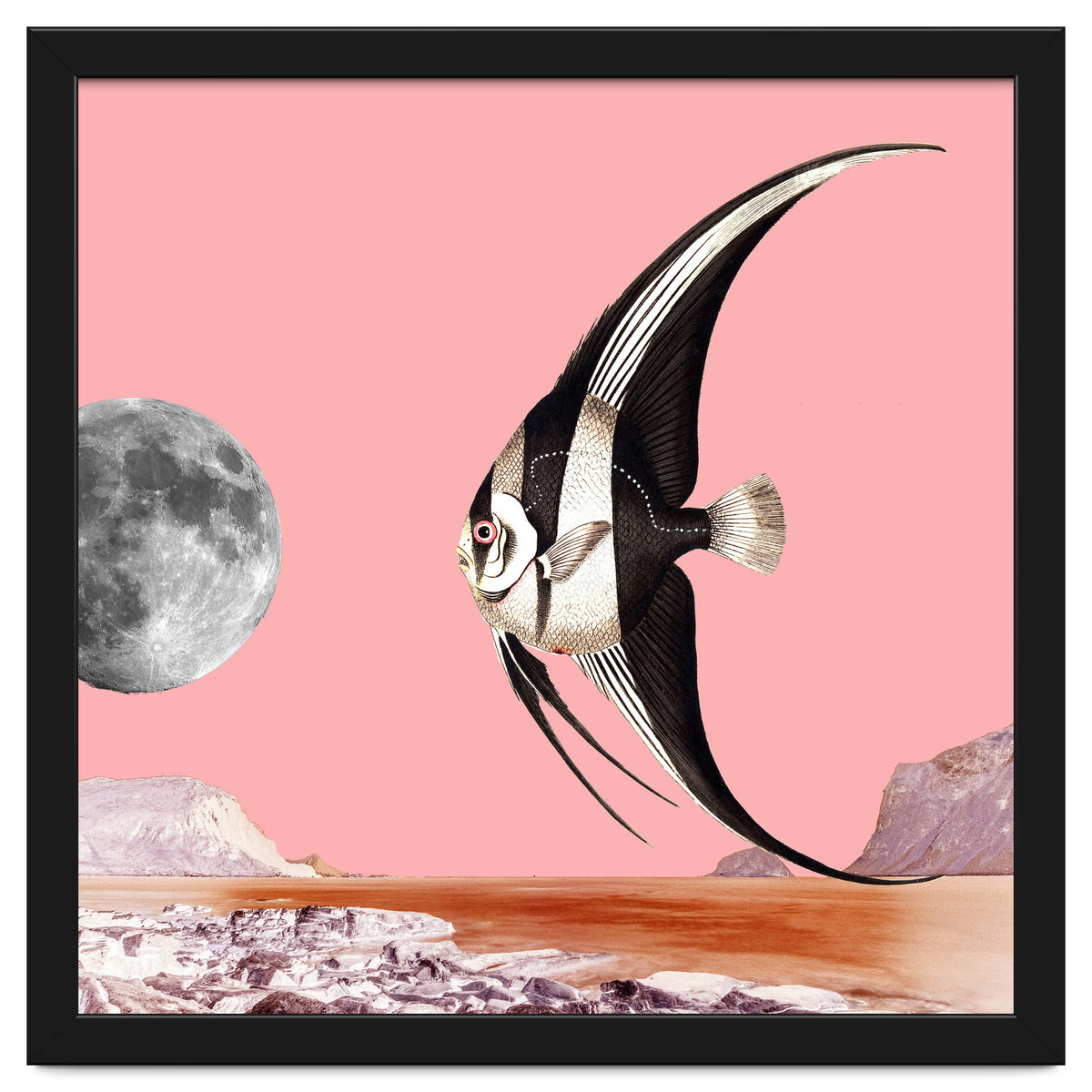 Plenty Of Fish In The Sea Pink