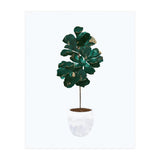 FIddle Leaf Fig gold and green (Print Only) thumbnail