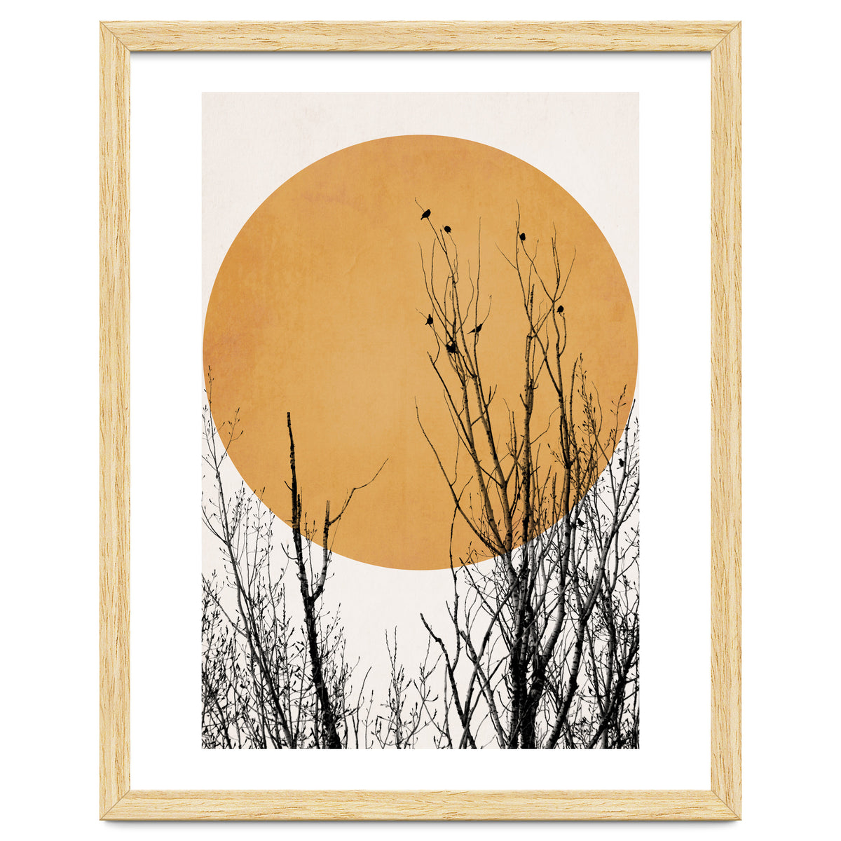 Sunset Dreams Yellow