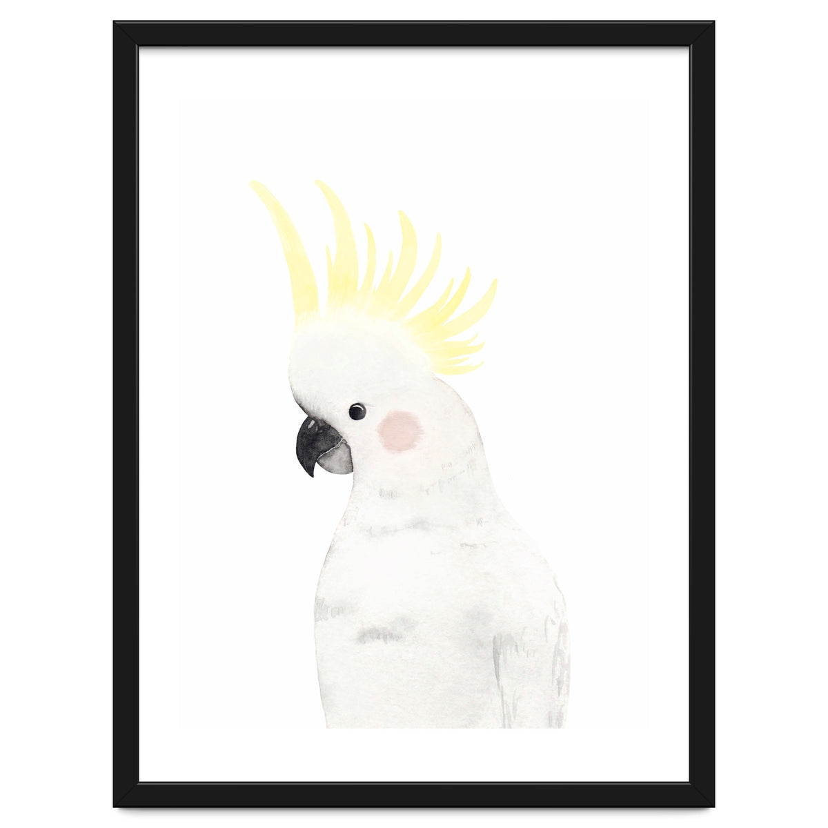Sweet Cockatoo