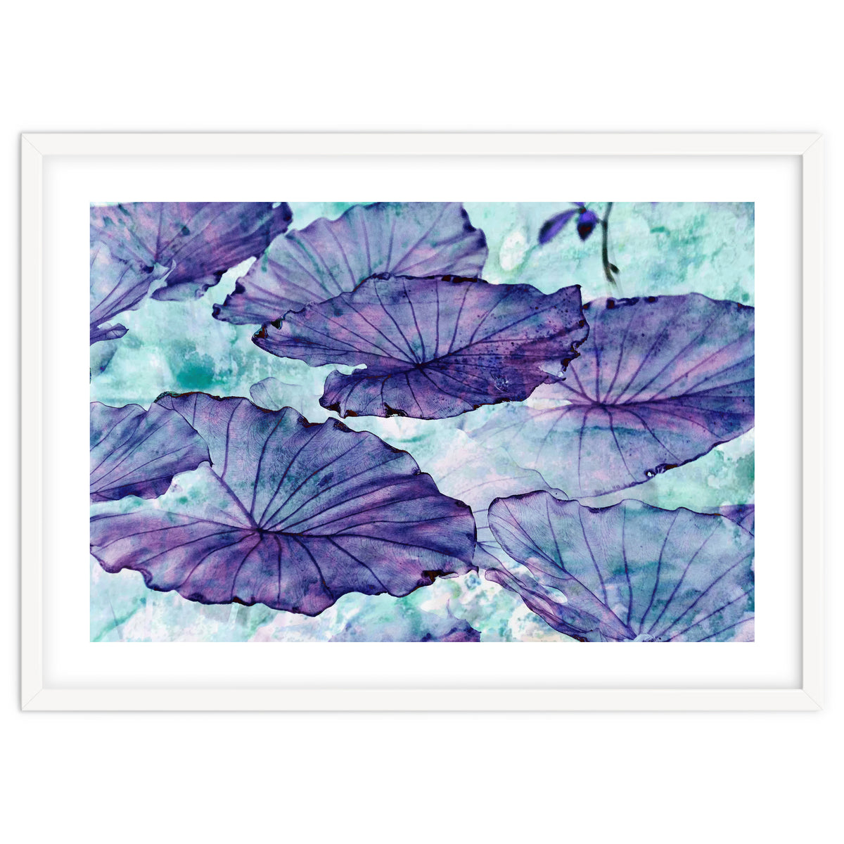 Botanical Surrealism