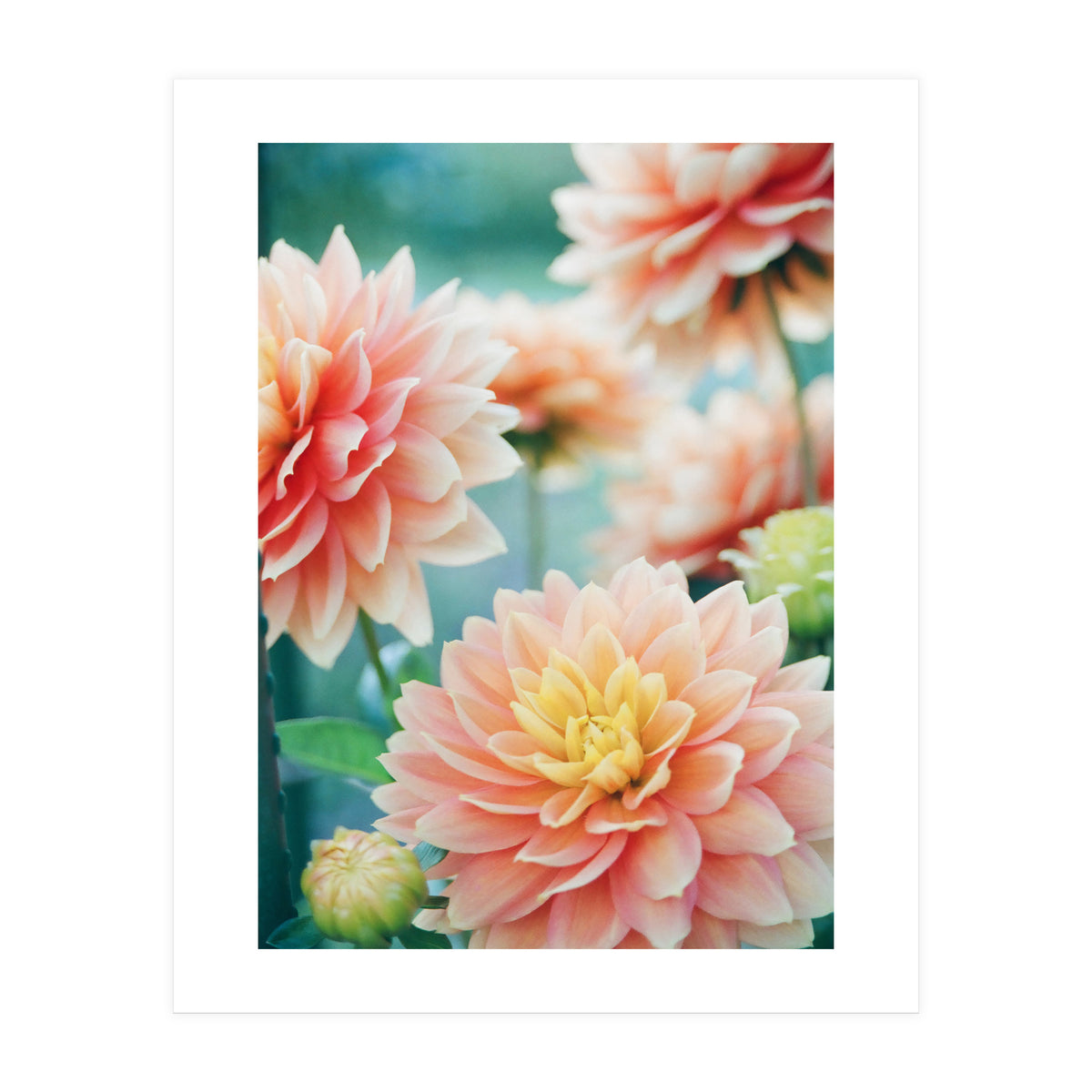 Happy Flowers (Print Only)