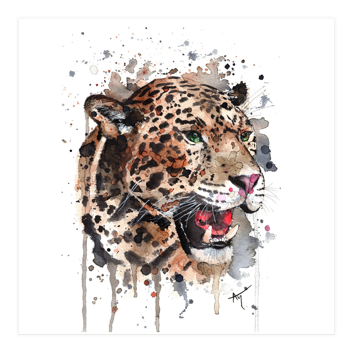 Leopard - Wildlife Collection (Print Only)