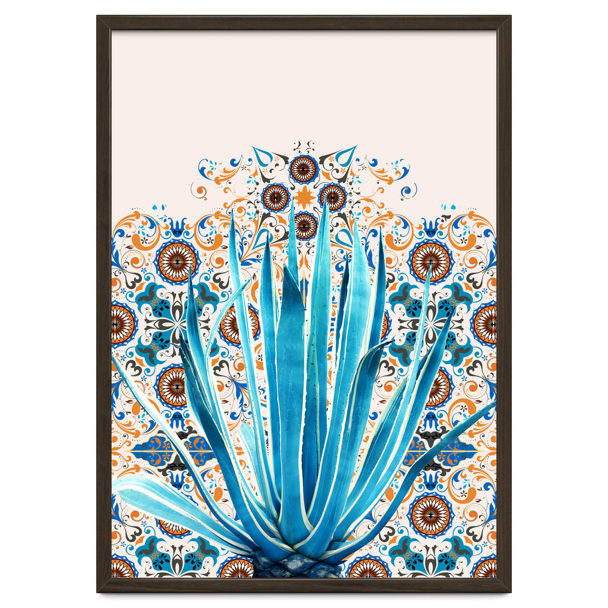 Cactus and Moroccan tiles