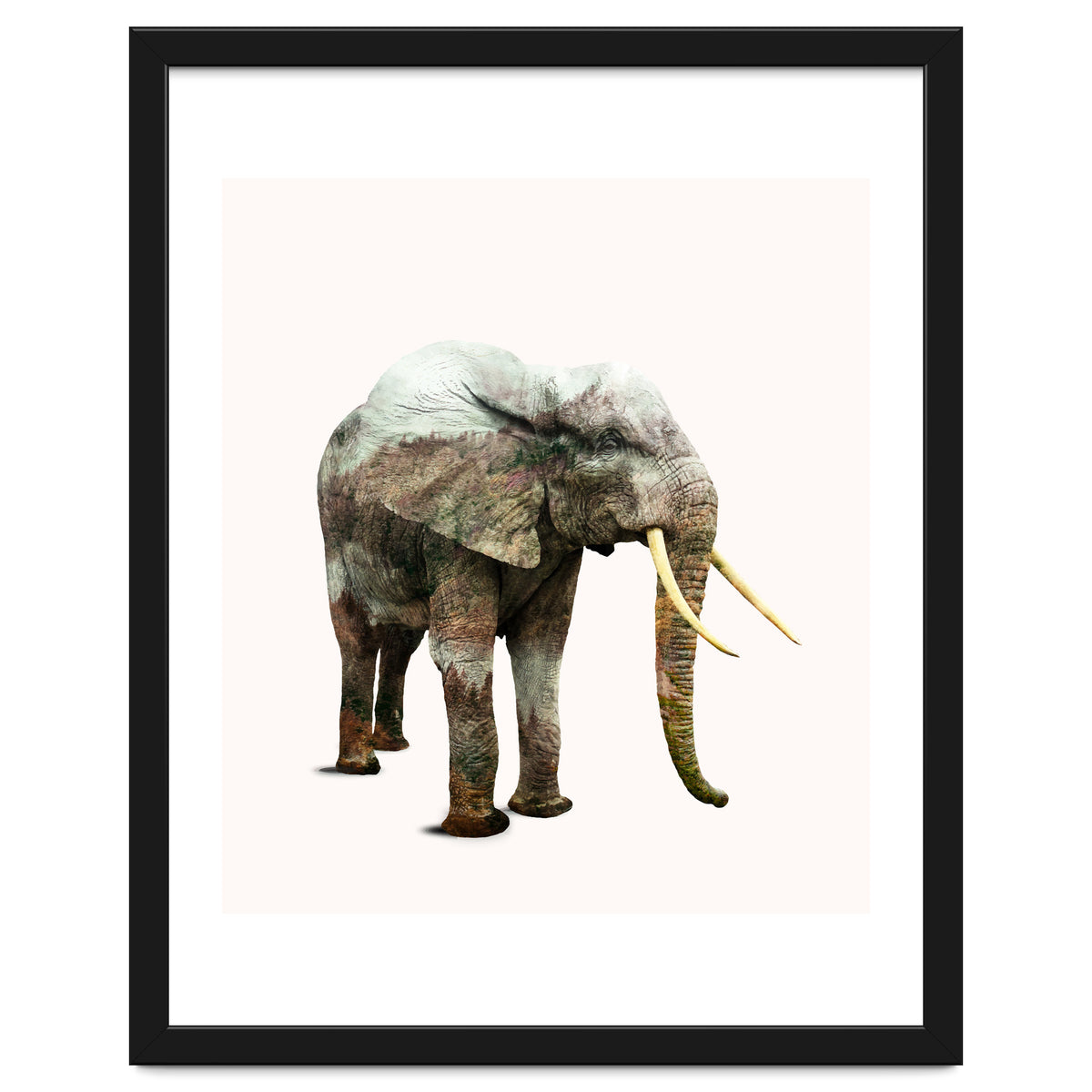 Elephant Transformation