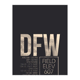 Dallas/Fort Worth Atc (Print Only) thumbnail