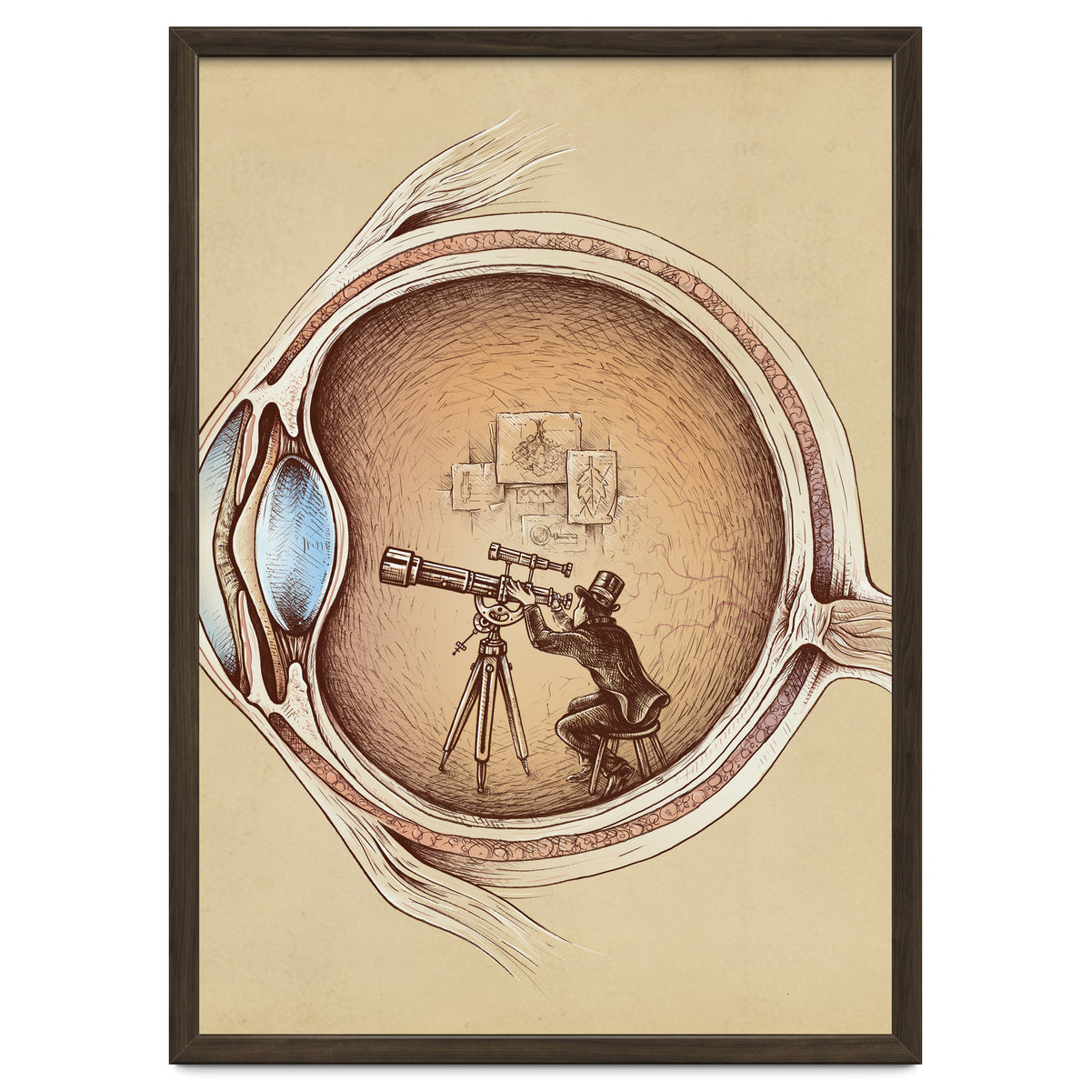 Extraordinary Observer