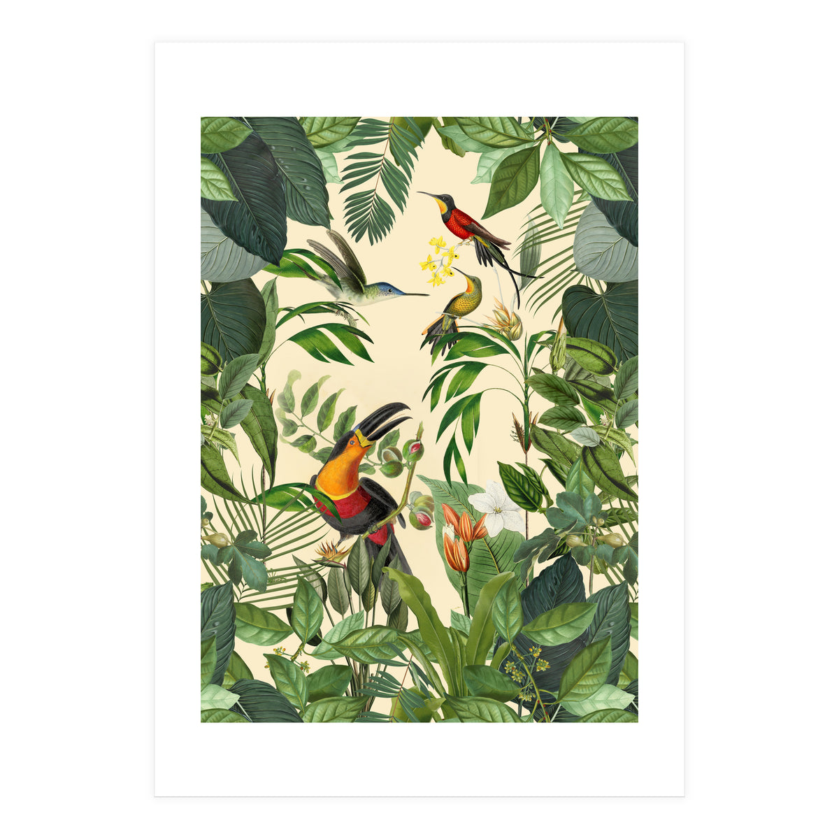 Green Jungle Toucans (Print Only)