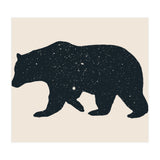 Bär (Print Only) thumbnail