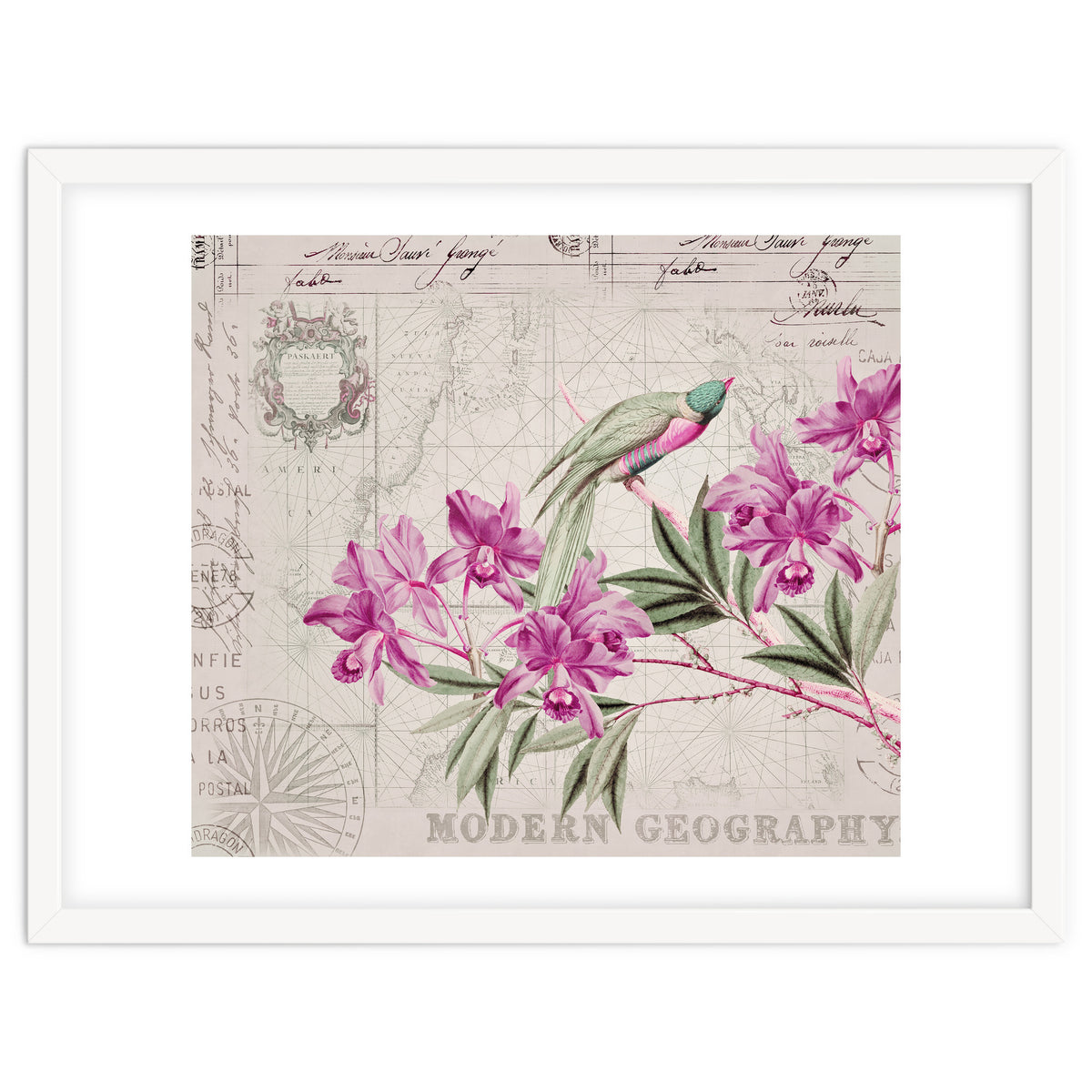 The Birds Voyage Of Discovery