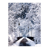 Snowy Bridge (Print Only) thumbnail