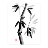 Bamboo 03 (Print Only) thumbnail
