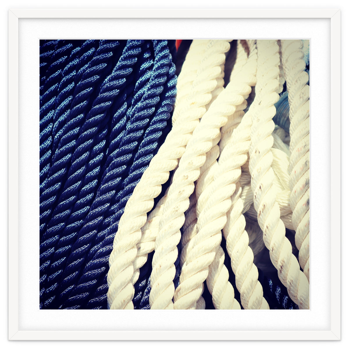 Blue and white fishing rope