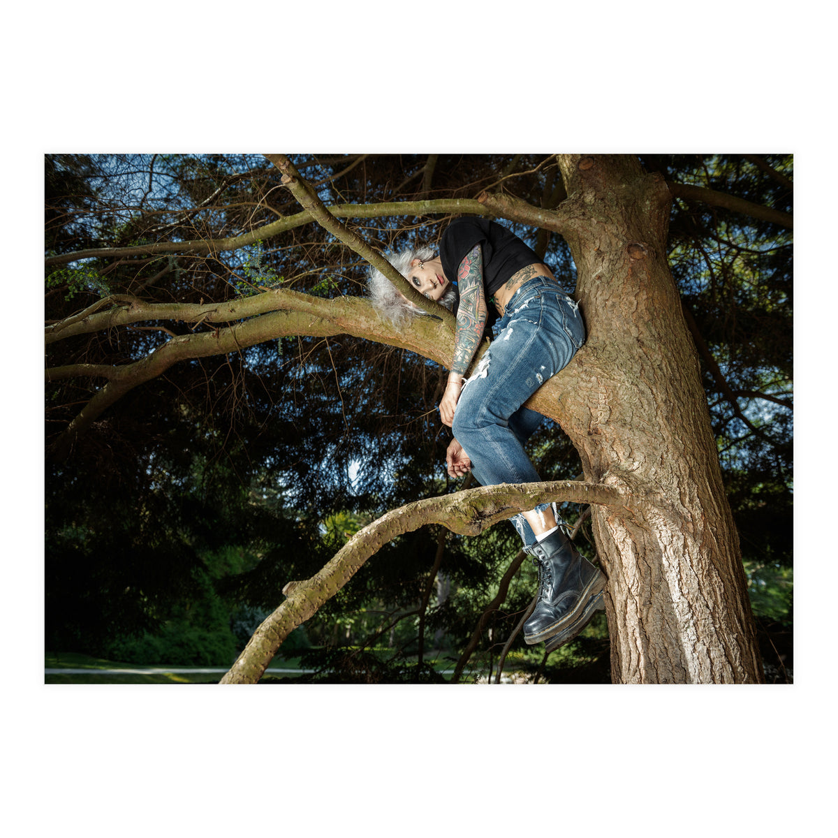 Tree Climber (Print Only)